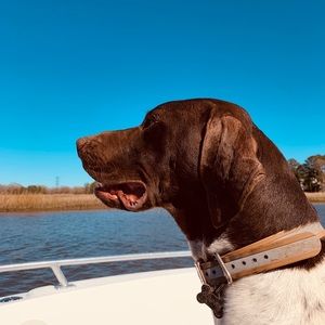 Meet your Posher, Maddison